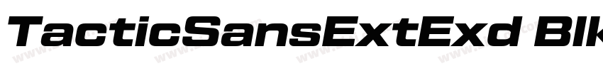 TacticSansExtExd Blk字体转换